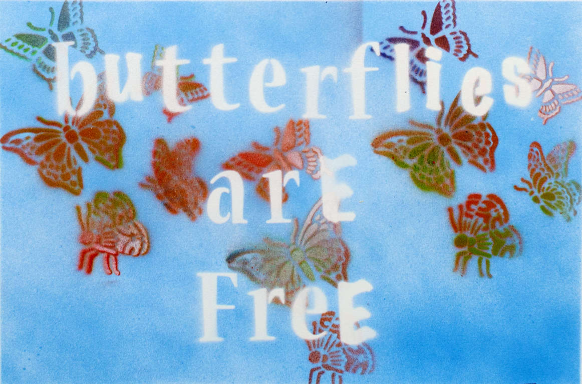 Butterflies Are Free Area Arts