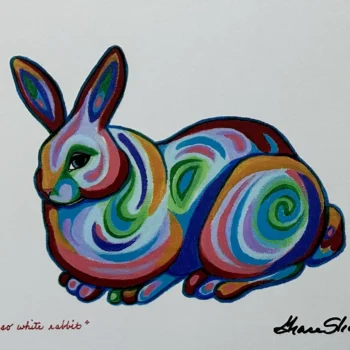Not So. White Rabbit | Area Arts