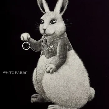 White Rabbit | Area Arts